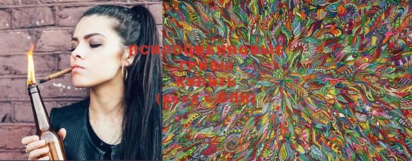 марки lsd Белокуриха