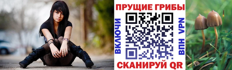 Галлюциногенные грибы мухоморы  Малмыж 